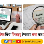 নিউজলেটার কি?