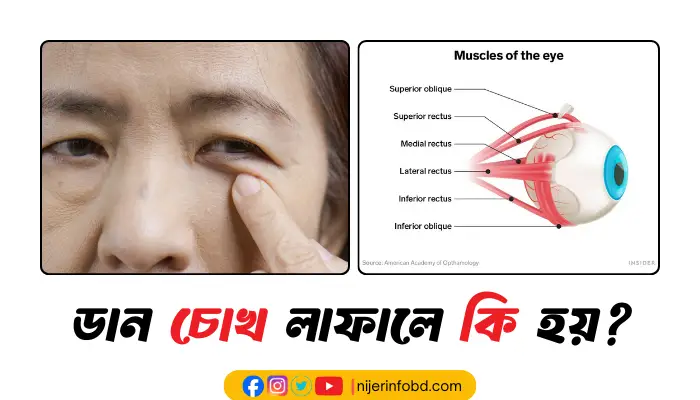 ডান চোখ লাফালে কি হয়