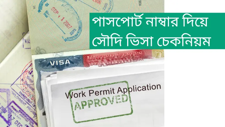 পাসপোর্ট নাম্বার দিয়ে সৌদি ভিসা চেক করার সঠিক নিয়ম